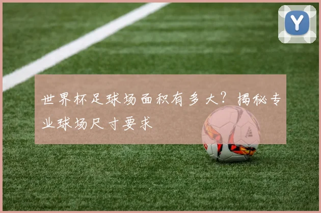 世界杯足球场面积有多大?揭秘专业球场尺寸要求