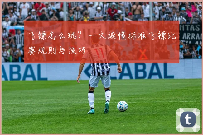 飞镖怎么玩?一文读懂标准飞镖比赛规则与技巧