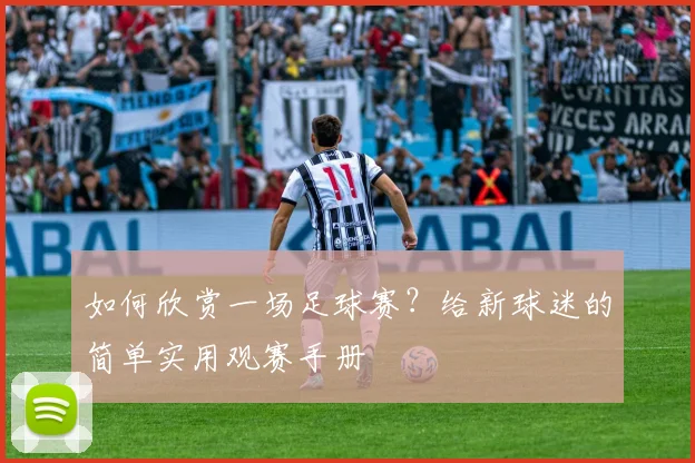 如何欣赏一场足球赛?给新球迷的简单实用观赛手册